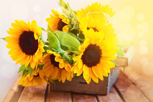 Experienced florist arranging flowers