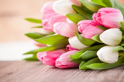 Modern floral design with succulents and exotic blooms