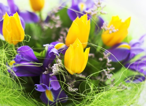 Community event hosted by Stepney Florist