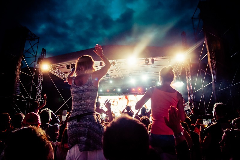 8 Little-Known Facts That Make Sunflowers Truly Extraordinary